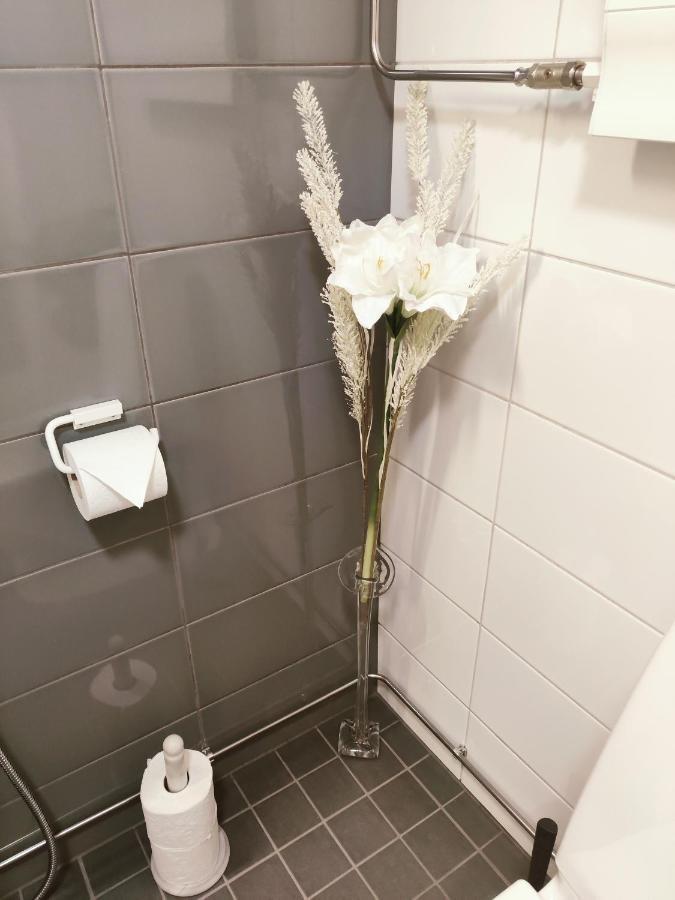 Joutjaerven Studio Apartment 拉赫蒂 外观 照片